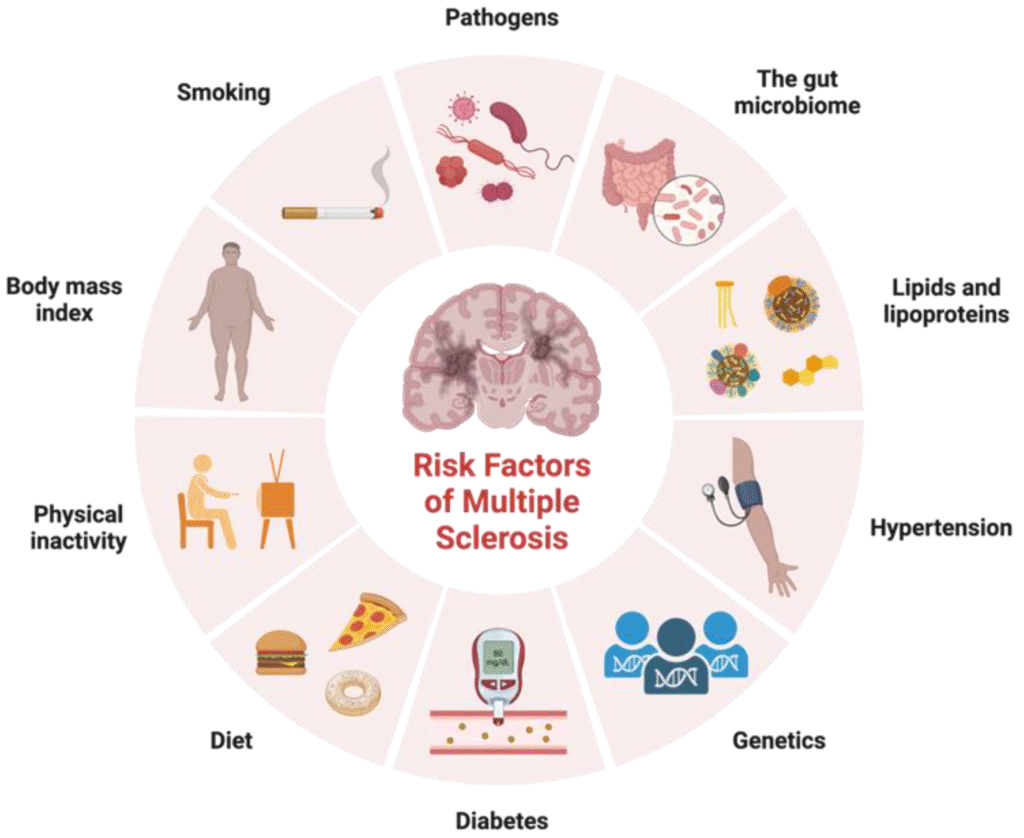 Risk Factors of Multiple Sclerosis