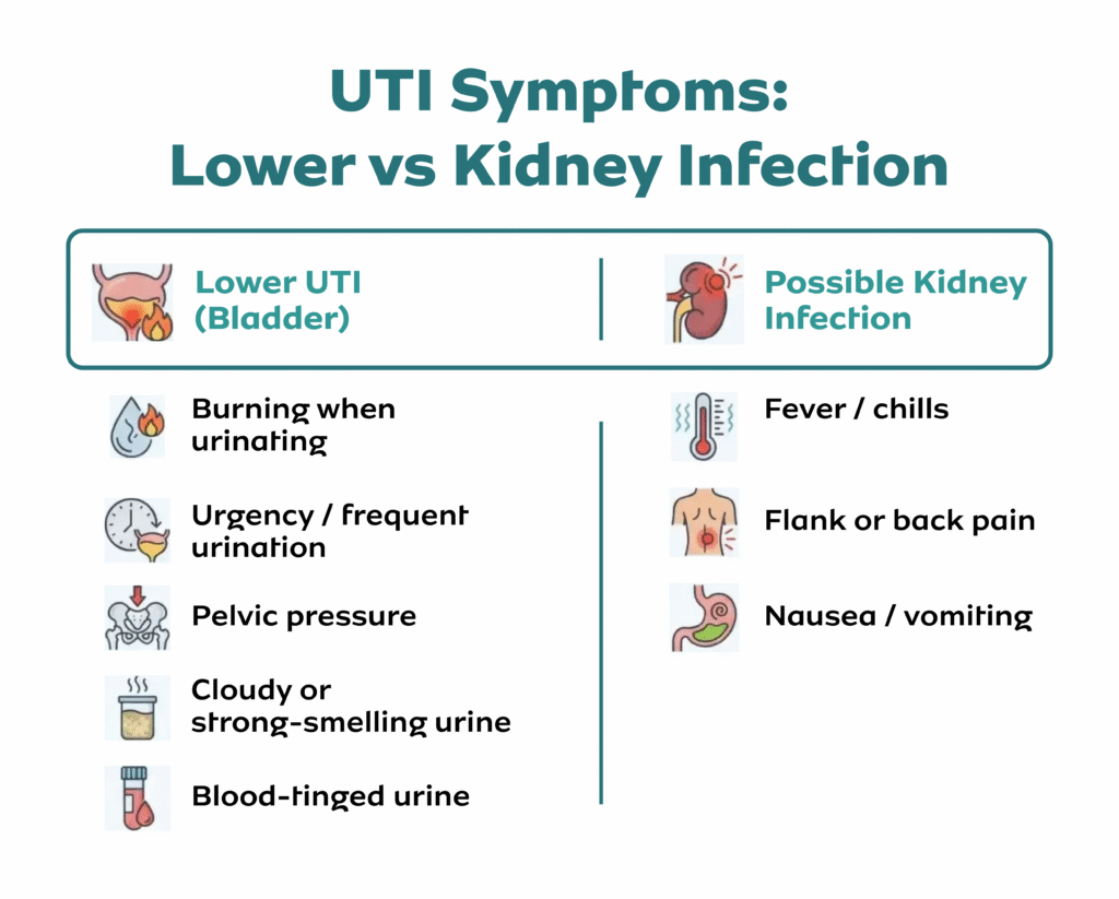 will a bladder infection cause nausea